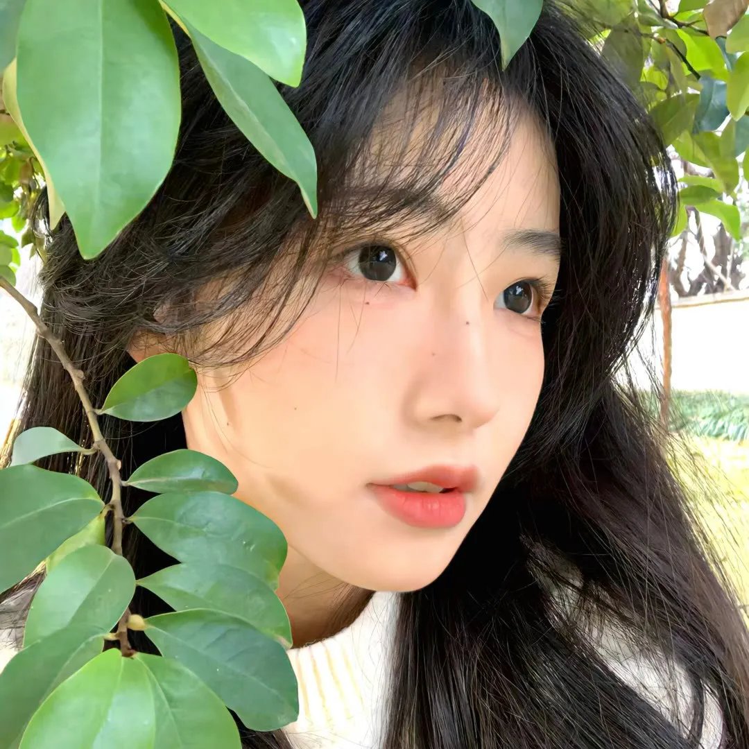 乐坛插班生粤语